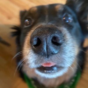 Meet your Posher, Mark